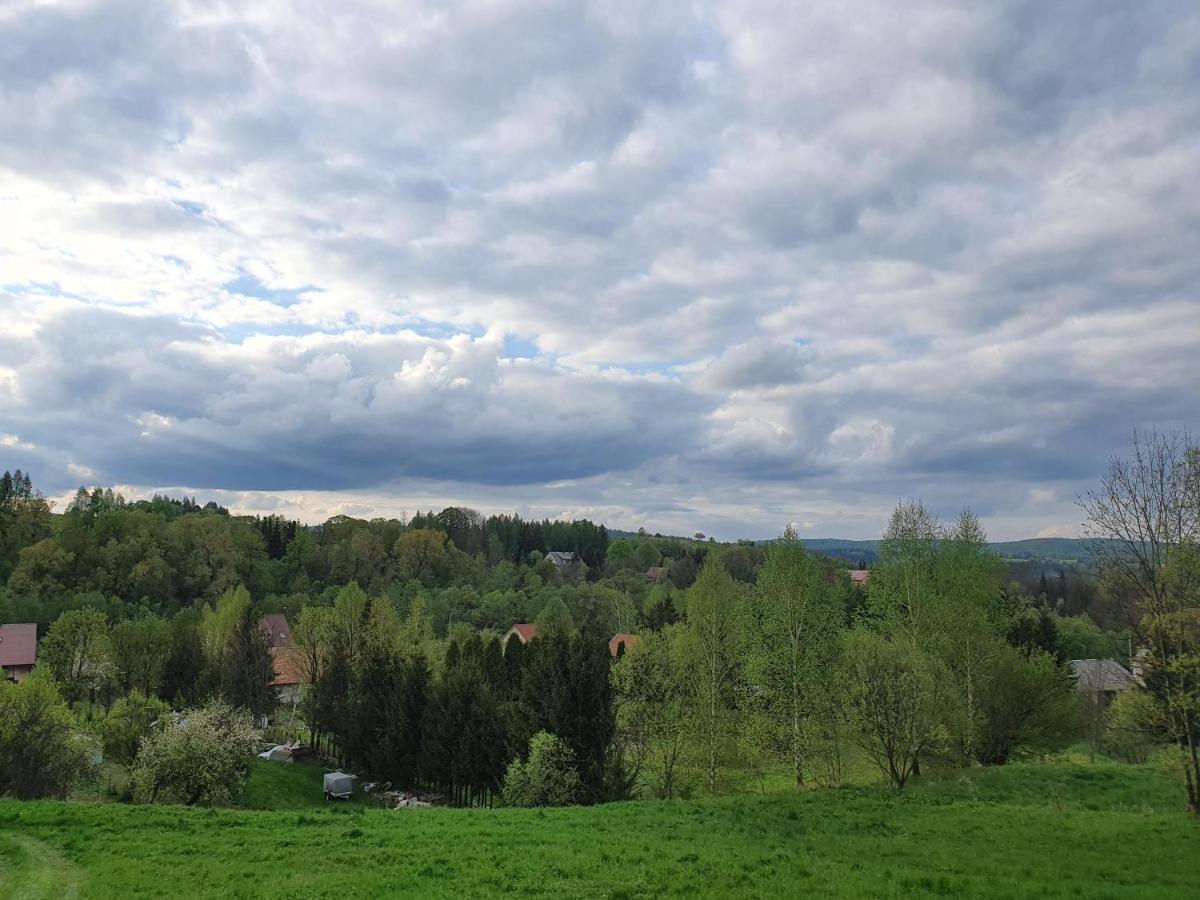 Apartament Columbus Apartment Ustrzyki Dolne Bagian luar foto